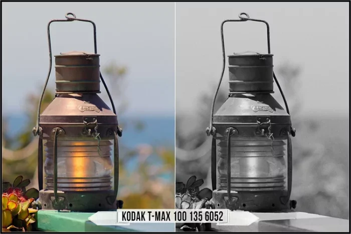 Eastman Kodak Black and White Films LUTs