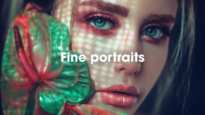 Fine Portraits LUTs