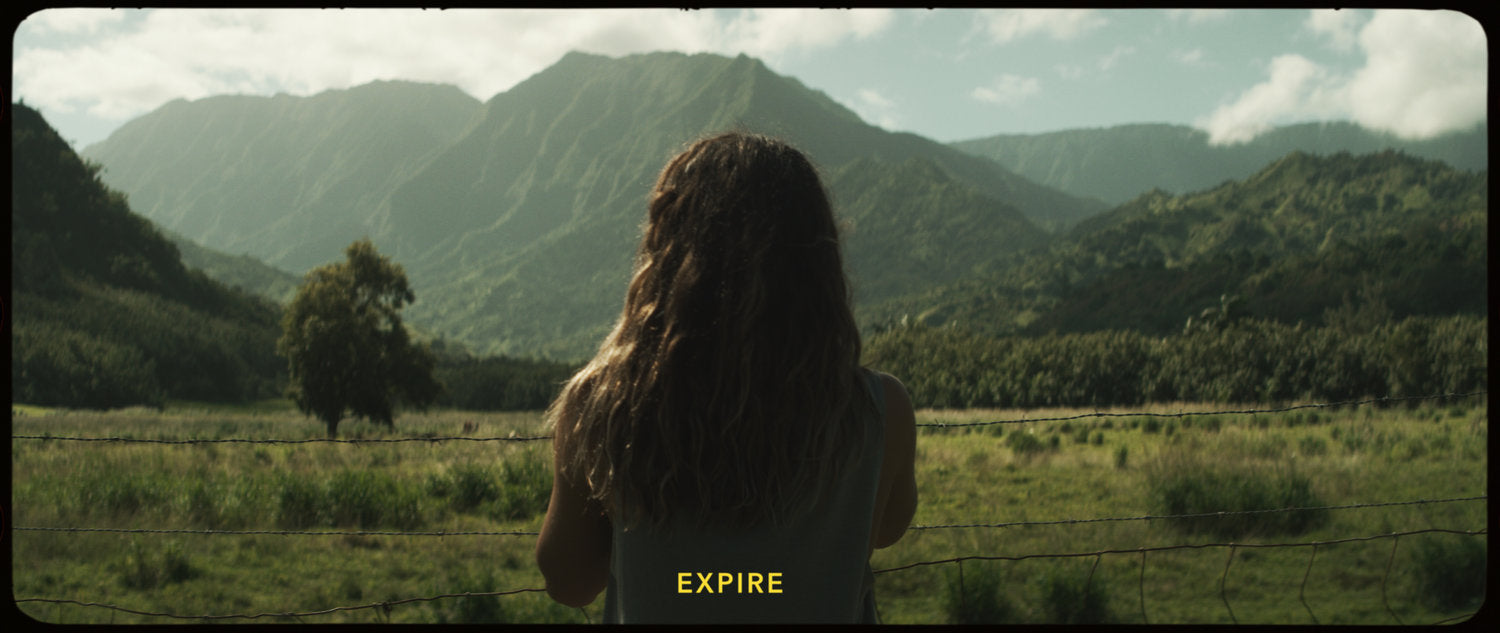 ARCHIVAL LUTS