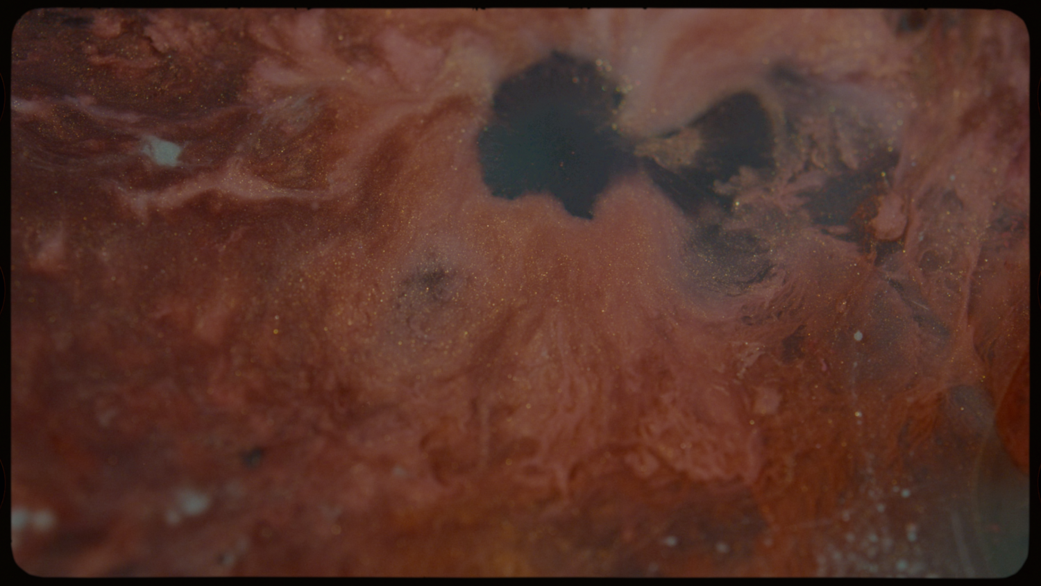 ARCHIVAL LUTS