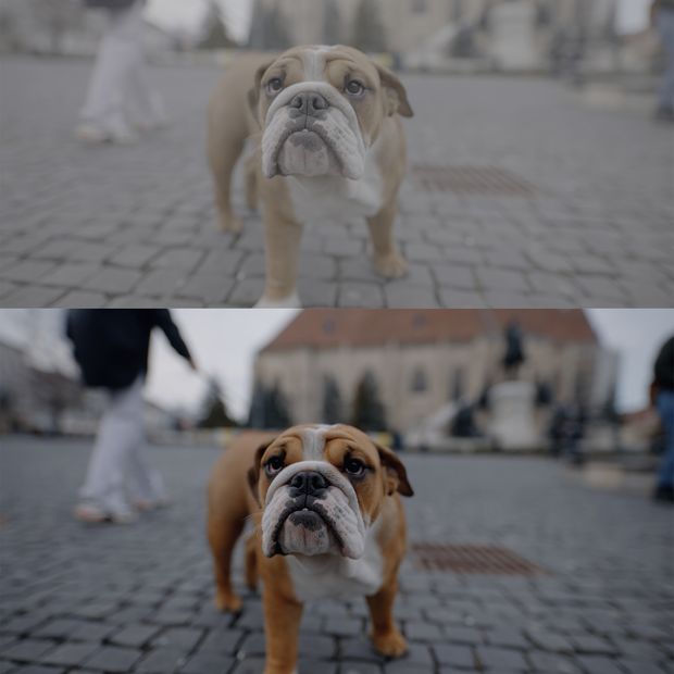 SONY SLOG 3 LUTS SKINTONE EDITION