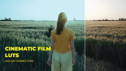 LUTs Cinematic Film