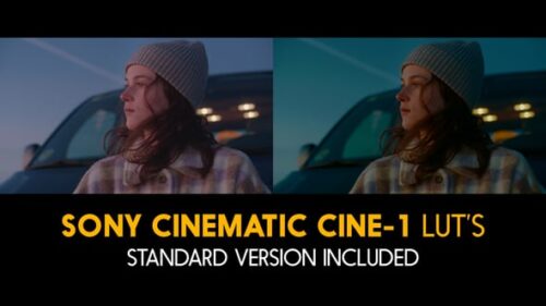 Sony Cinematic Cine 1 and Standard LUTs for Final Cut