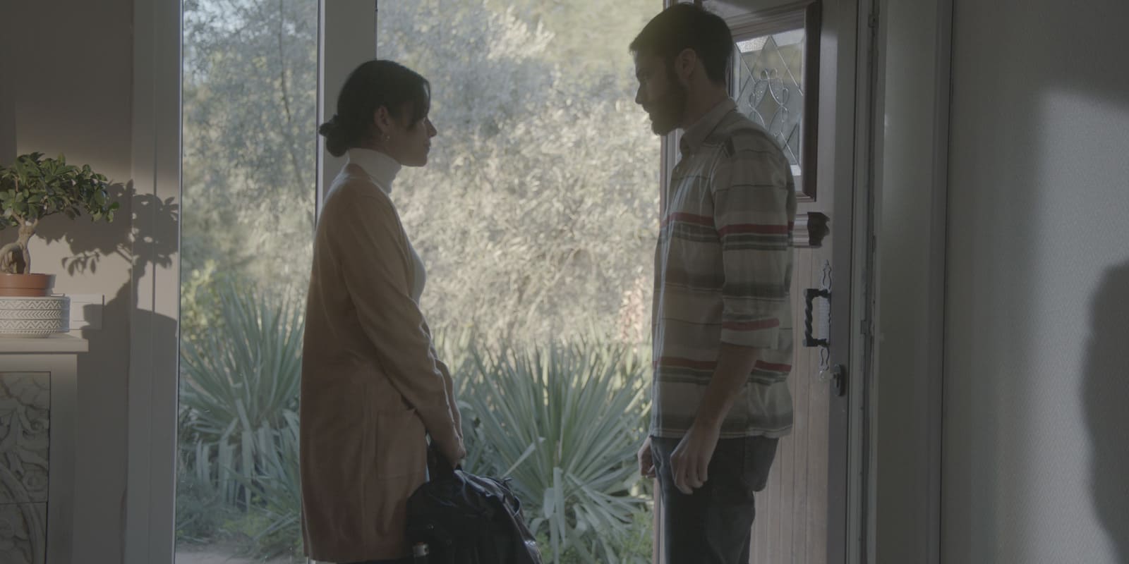 CineGrams TV Looks Video LUTs