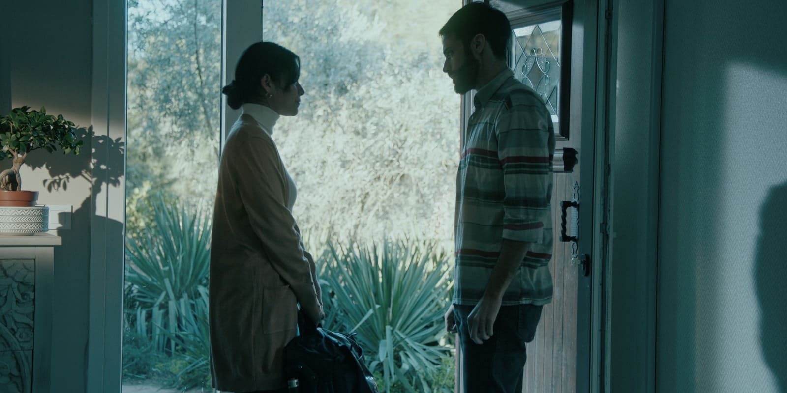 CineGrams TV Looks Video LUTs