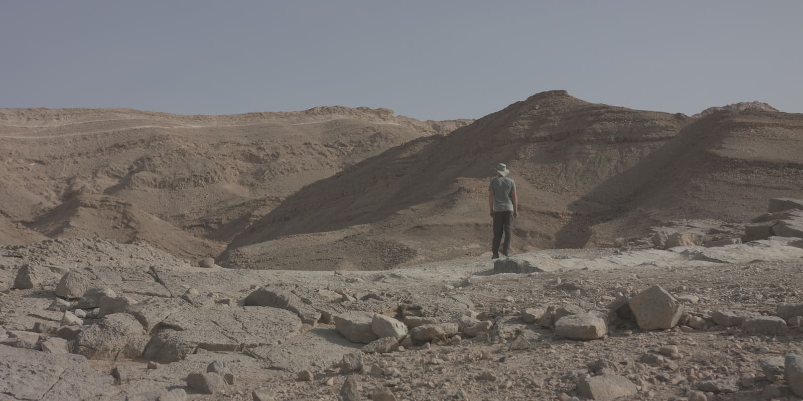 CineGrams TV Looks Video LUTs