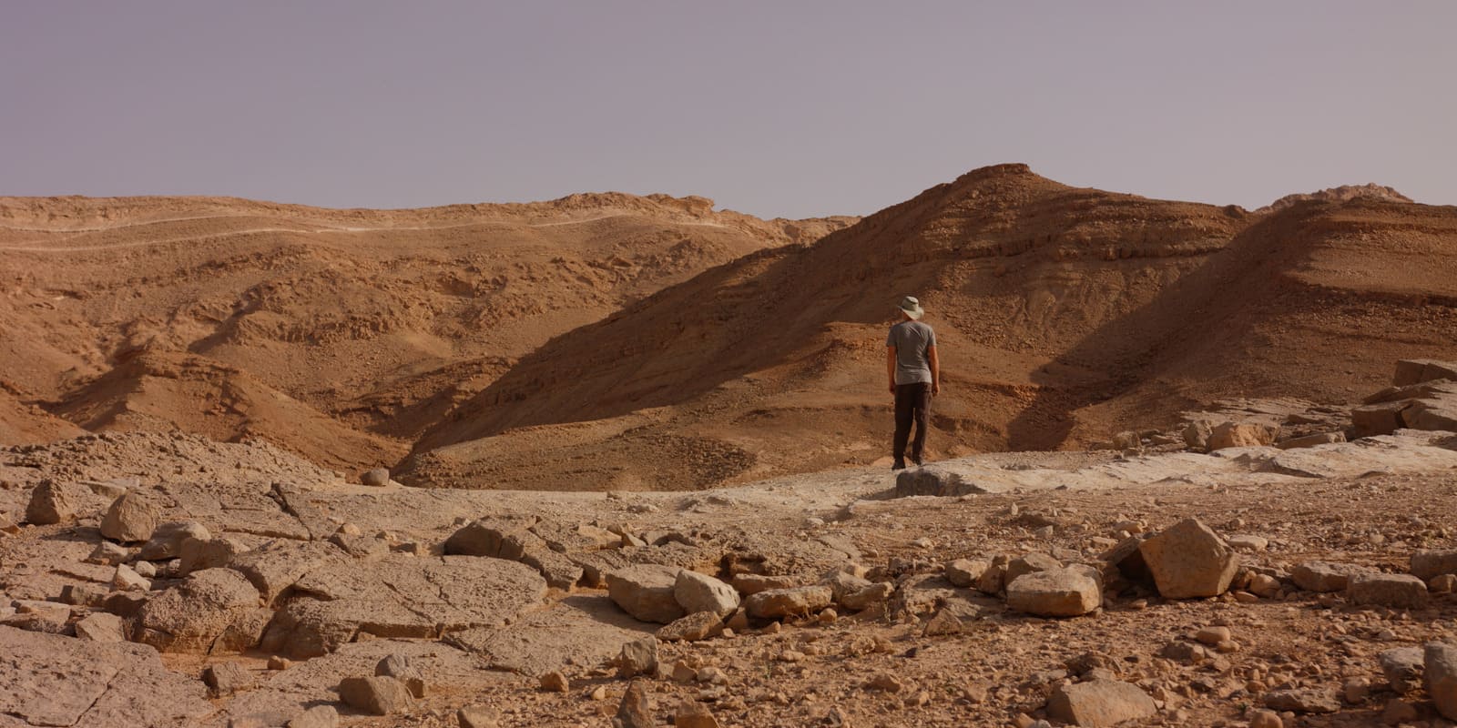 CineGrams TV Looks Video LUTs