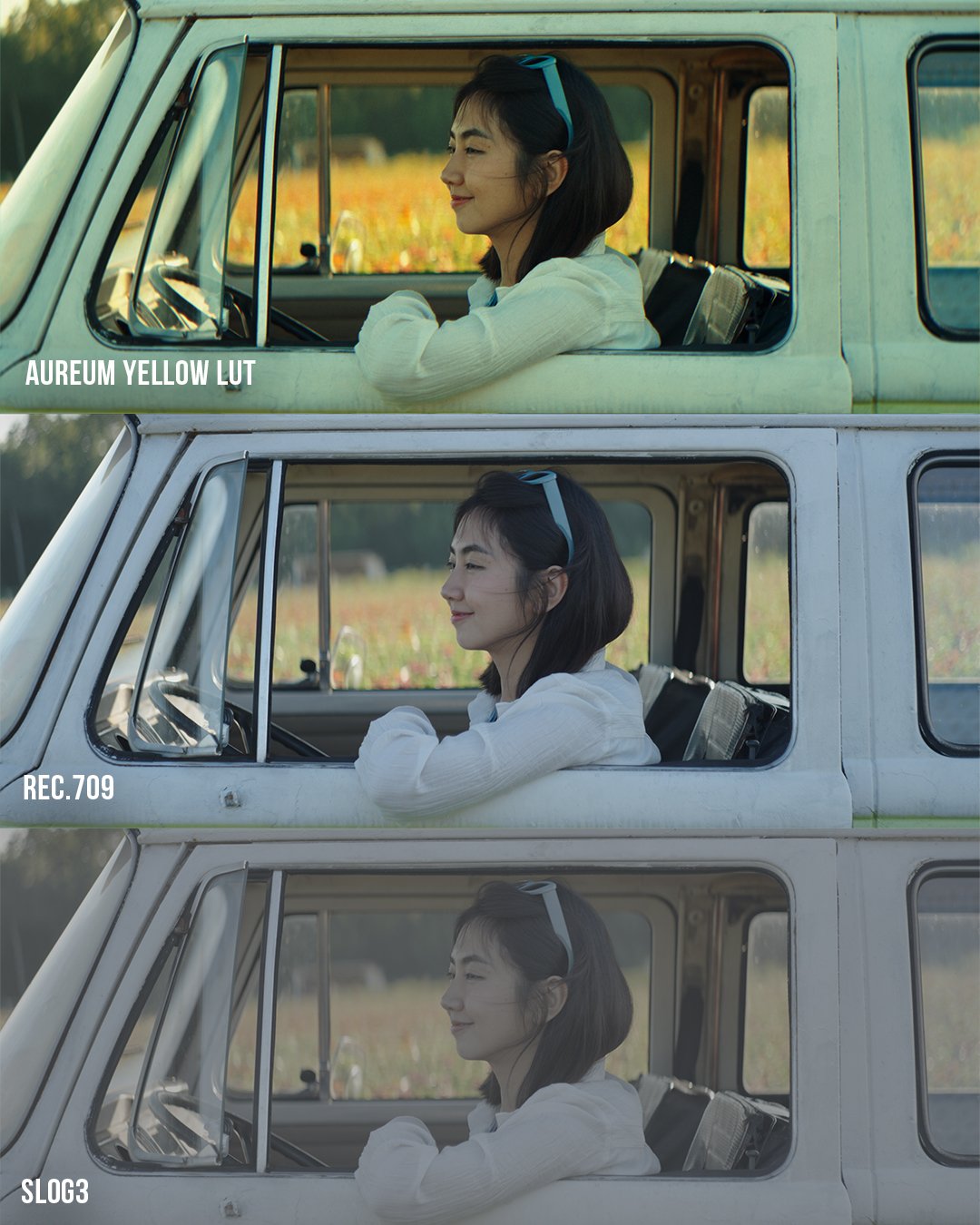 Sunset Film LUT Pack (19)