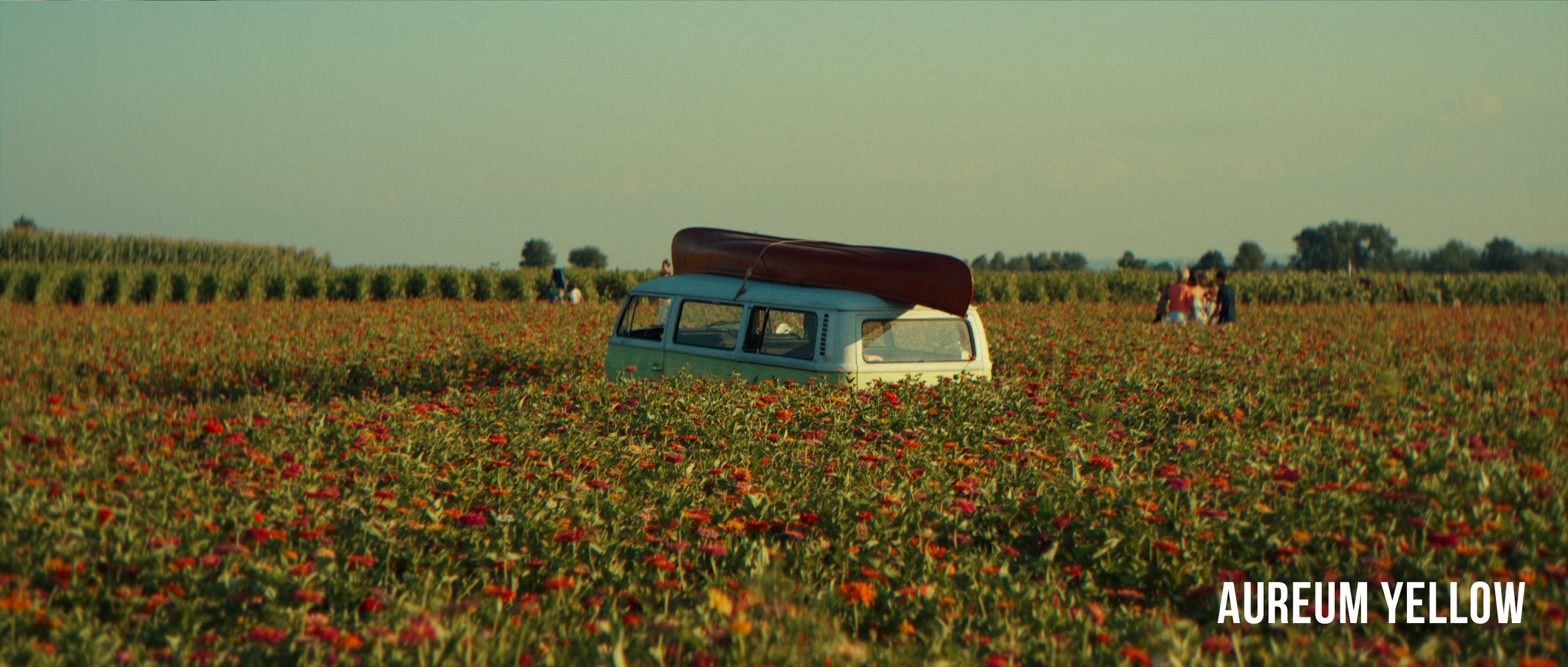 Sunset Film LUT Pack (3)