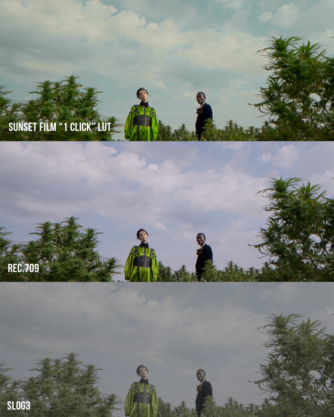Sunset Film LUT Pack (4)
