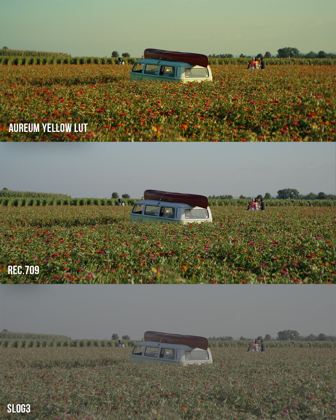 Sunset Film LUT Pack (8)