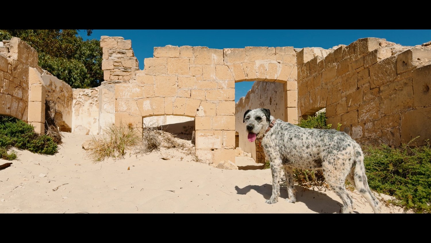 iPhone16Pro2Alexa LUTs (17)
