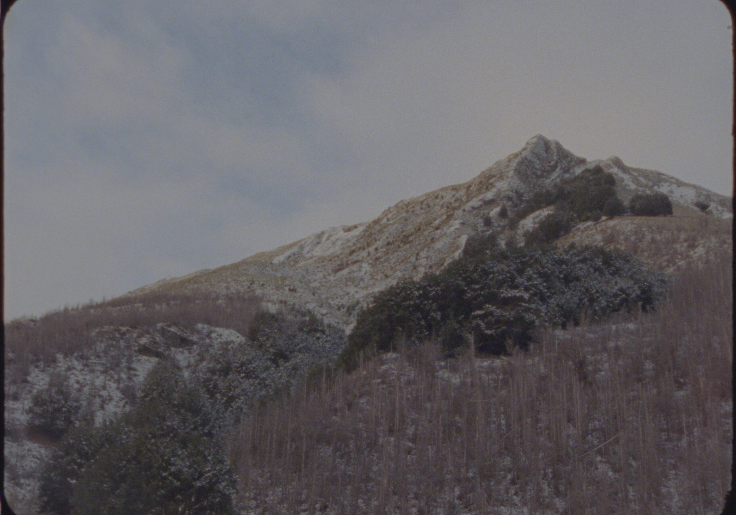 16MM FILM LUTS