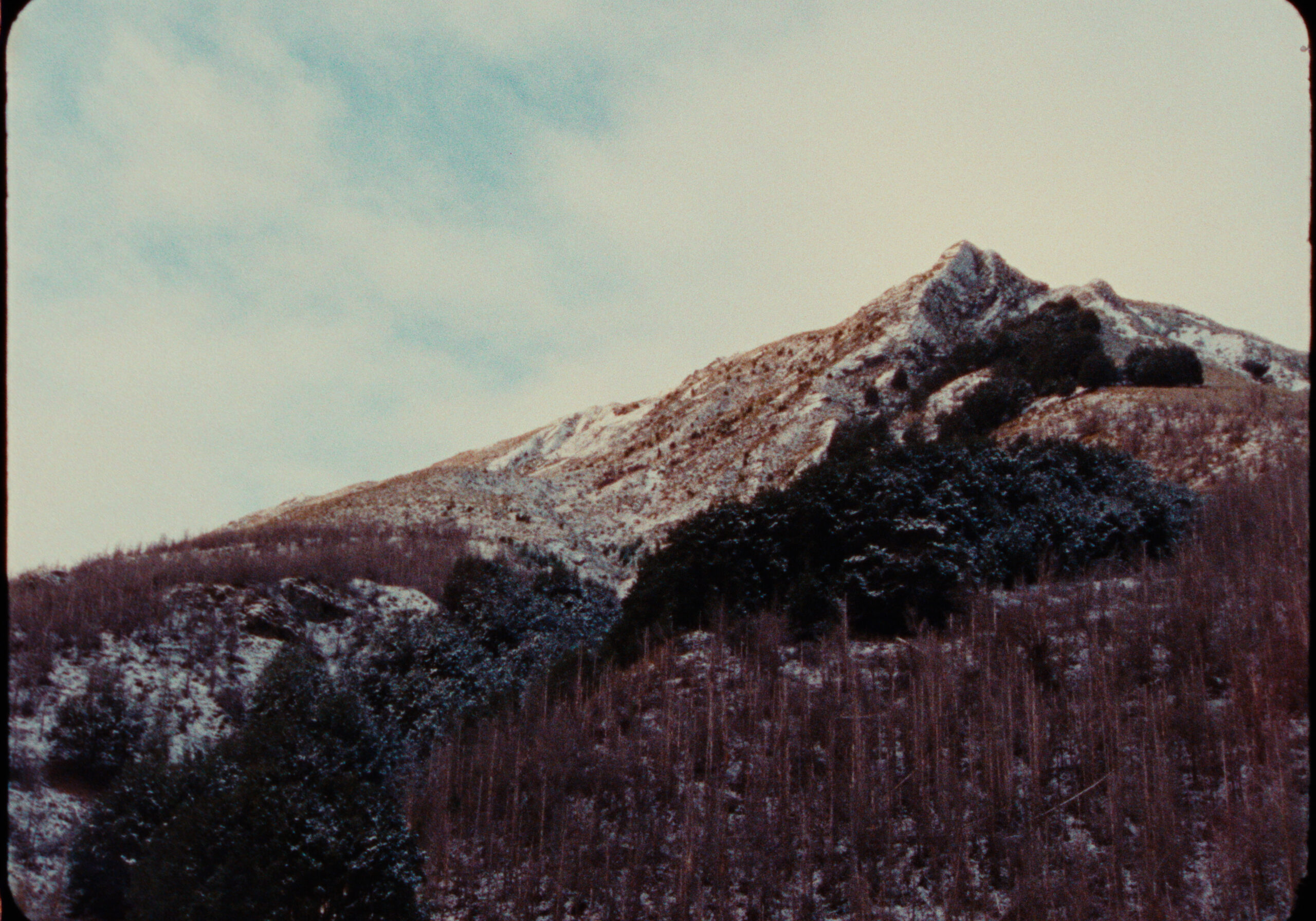 16MM FILM LUTS