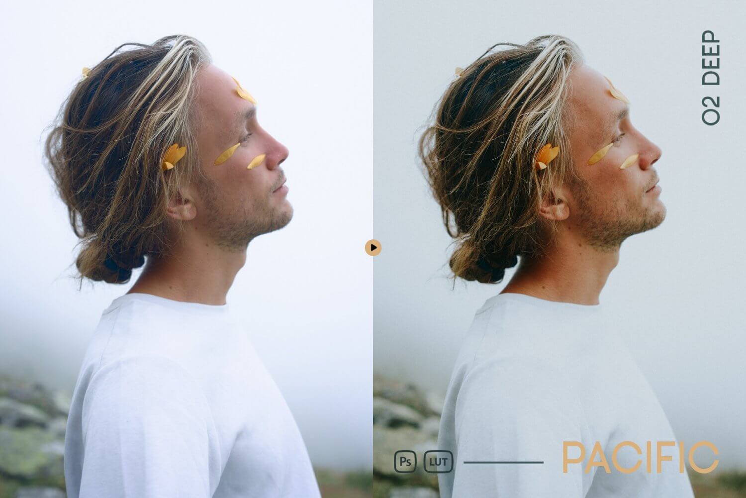 Pacific Lightroom Presets and LUTs