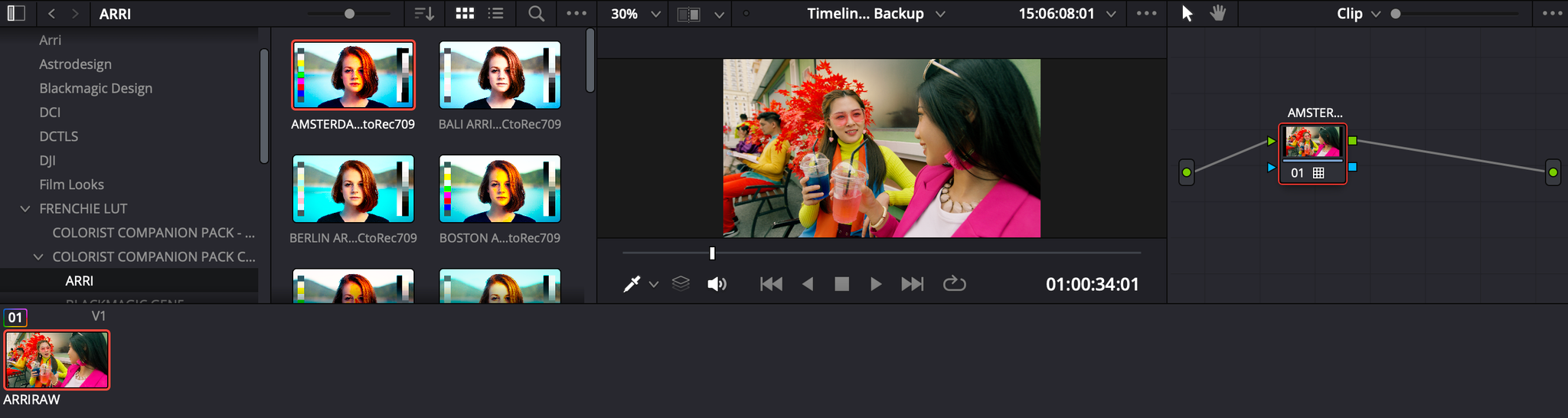 Colorist Companion Full Pack