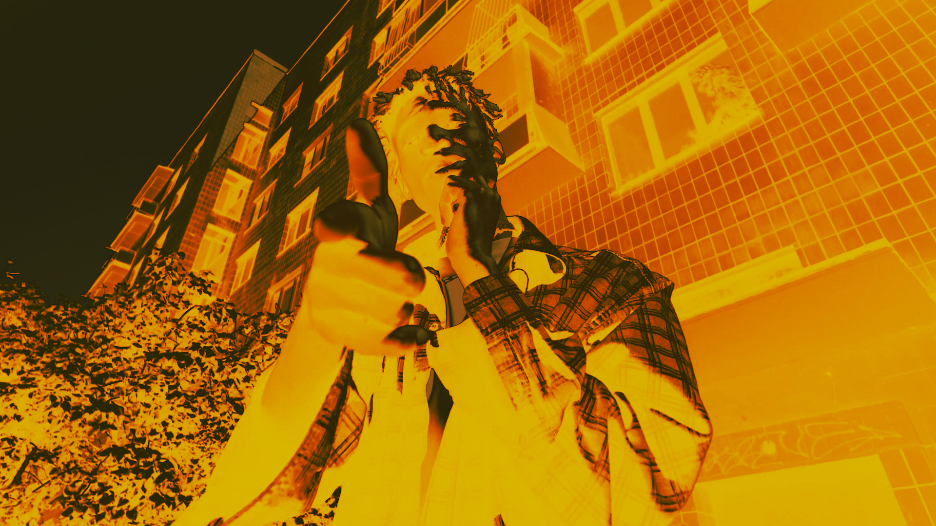 12 Thermographic LUTs