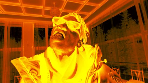 12 Thermographic LUTs