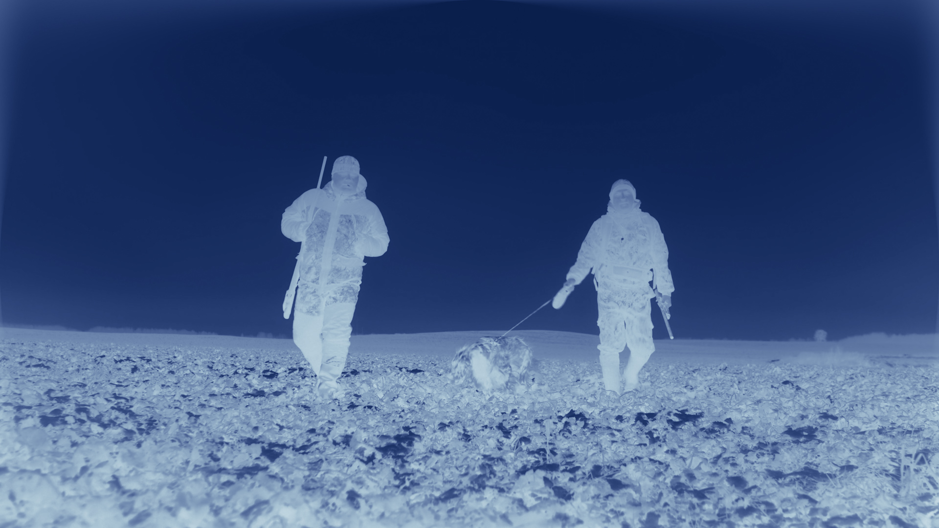 12 Thermographic LUTs